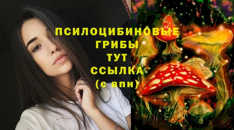 Галлюциногенные грибы MAGIC MUSHROOMS  сколько стоит  Мичуринск 